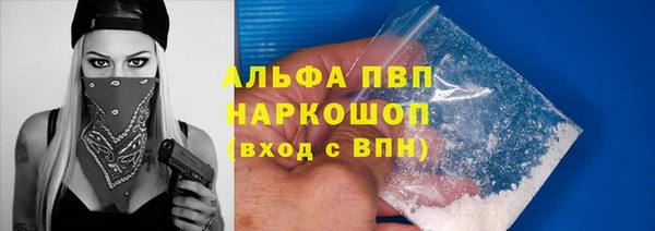гидра Вяземский