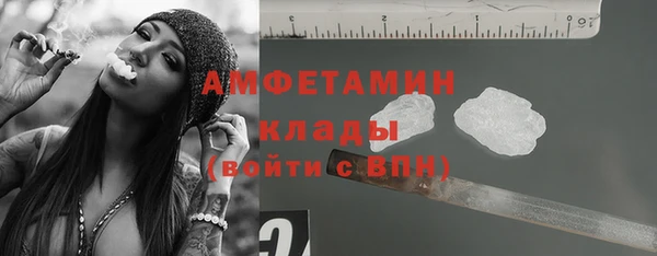 гидра Вяземский