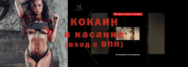 гидра Вяземский