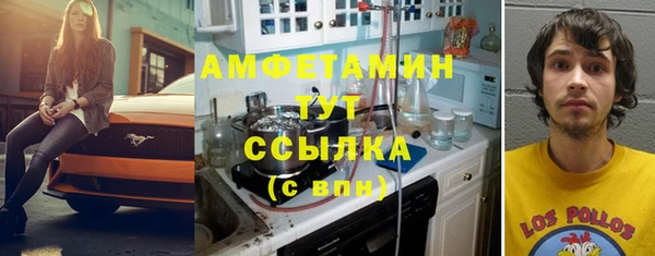 ALPHA PVP Горняк