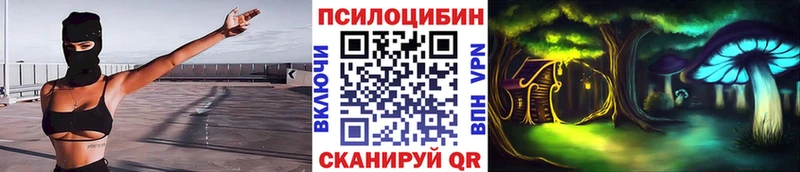купить наркоту Далматово Псилоцибиновые грибы прущие грибы